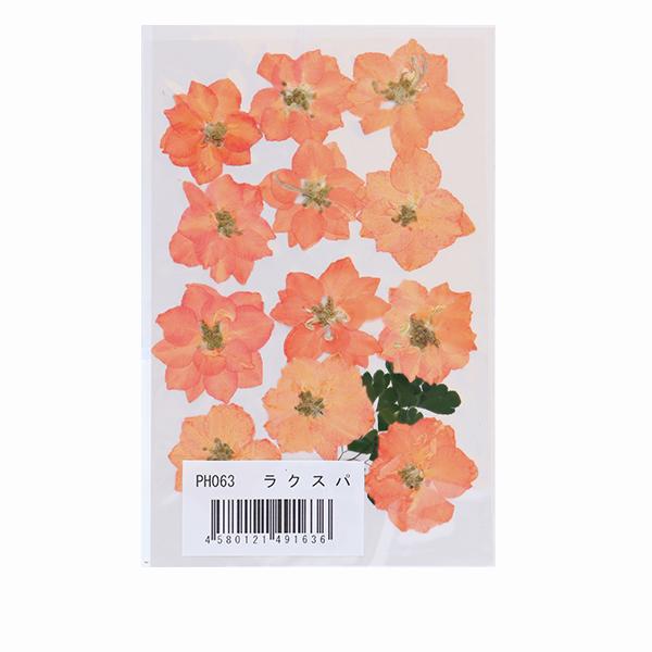 押し花キット つみたて花パック ラクスパ Ph063 ユザワヤ 通販 Paypayモール