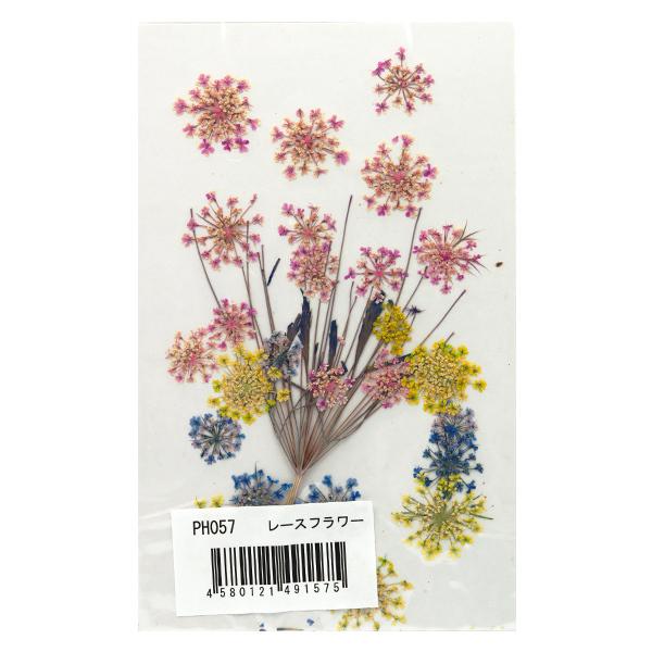 押し花キット つみたて花パック レースフラワー カラード Ph057 ユザワヤ 通販 Paypayモール