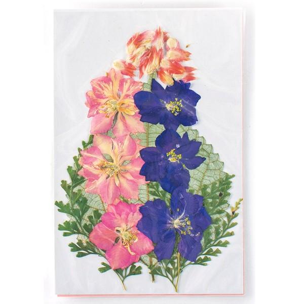 押し花キット 押し花ミックスb Ff603m B ユザワヤ 通販 Paypayモール