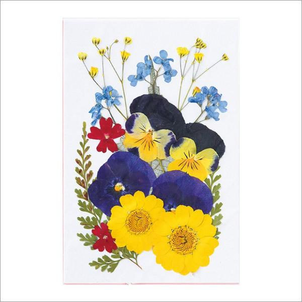 押し花ミックスパック A Ff603m A ユザワヤ 通販 Paypayモール