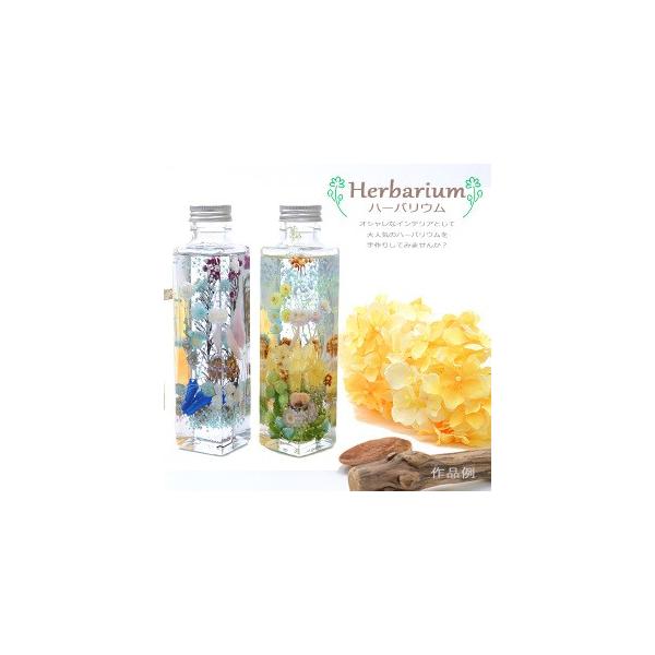 ガラスボトルキュート300ｍｌ キャップ銀 アミファ 花 ドライフラワー アクアリウム 植 Buyee Buyee 提供一站式最全面最专业现地yahoo Japan拍卖代bid代拍代购服务 Bot Online