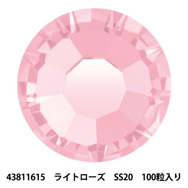 �A�N�Z�T���[�f�� �w�v���V�I�T ���C���X�g�[�� MAXIMA 43811615 ���C�g���[�Y SS20 100������x
