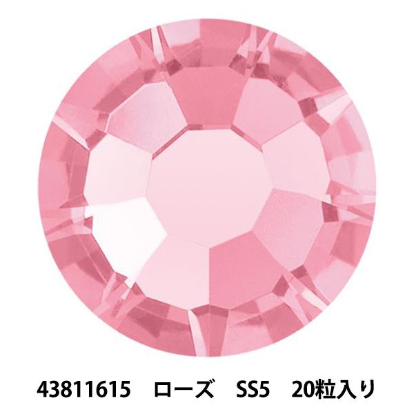 �A�N�Z�T���[�f�� �w�v���V�I�T ���C���X�g�[�� MAXIMA 43811615 ���[�Y SS5 20������x