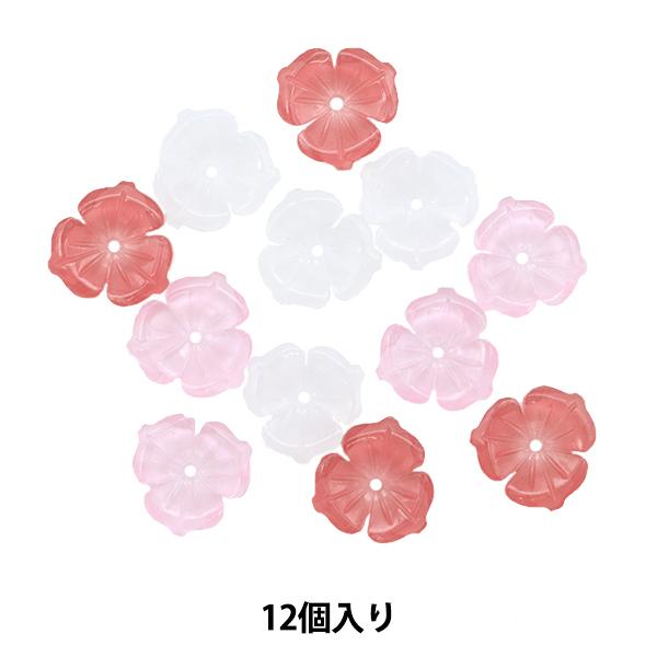 ANZT[f wANt[~bNX sN 12 CHKF-21A-01Bx