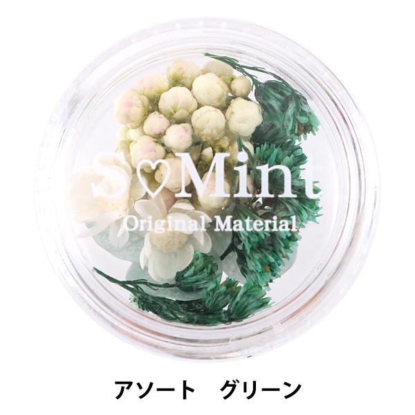 レジン材料 『ドライフラワー フルレット シリーズ1 グリーン』 SMint エスミントお花とリーフのMIXセット国産の生花を使用し、一つ一つ手作業で染色したエスミントのドライフラワー。グリーン系でまとまるアソートセットです。厚みのある小花...