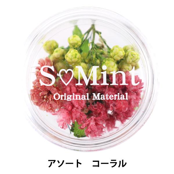 レジン材料 『ドライフラワー フルレット シリーズ1 コーラル』 SMint エスミントお花とリーフのMIXセット国産の生花を使用し、一つ一つ手作業で染色したエスミントのドライフラワー。コーラル系でまとまるアソートセットです。厚みのある小花...