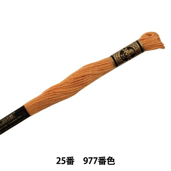 hイ wDMC 25ԎhJ 977ԐFx DMC fB[GV[