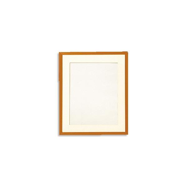 hイg wt[ (W-13)x Olympus IpX