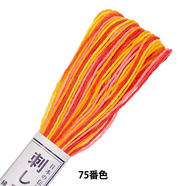 hイ whq 75ԐF (~bNX)x Olympus IpX