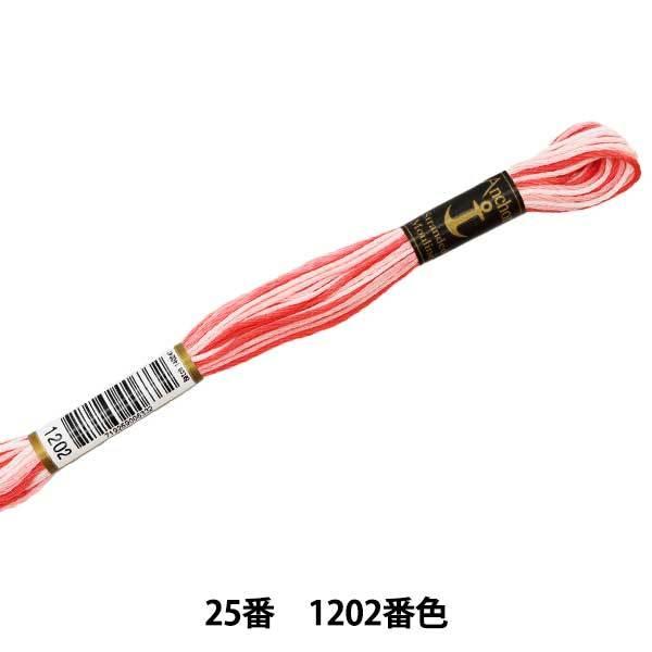 hイ wAnchor(AJ[) 25ԎhJ 1202ԐFx