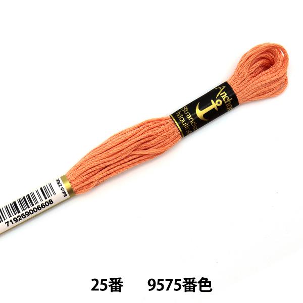 hイ wAnchor(AJ[) 25ԎhJ 9575ԐFx