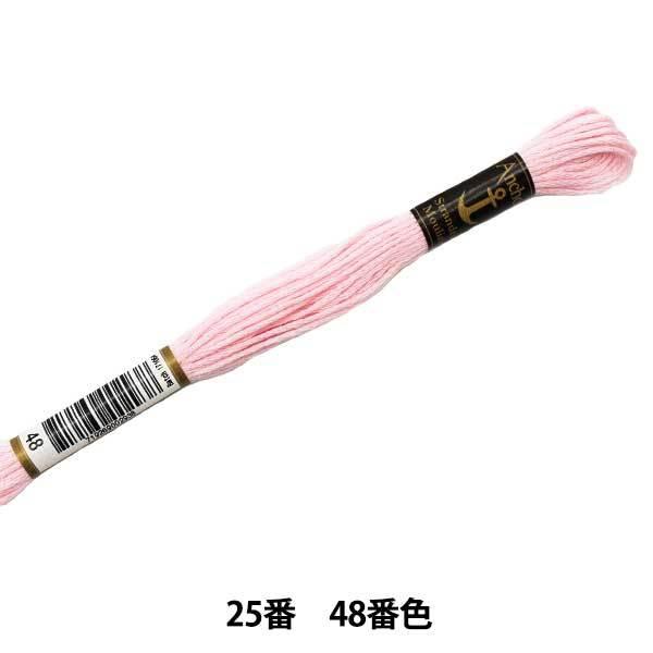 hイ wAnchor(AJ[) 25ԎhJ 48ԐFx