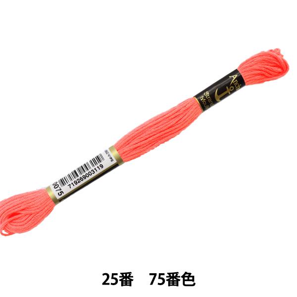 hイ wAnchor(AJ[) 25ԎhJ 75ԐFx