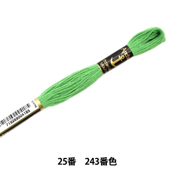 hイ wAnchor(AJ[) 25ԎhJ 243ԐFx