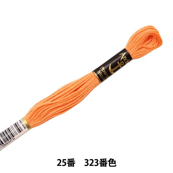 hイ wAnchor(AJ[) 25ԎhJ 323ԐFx