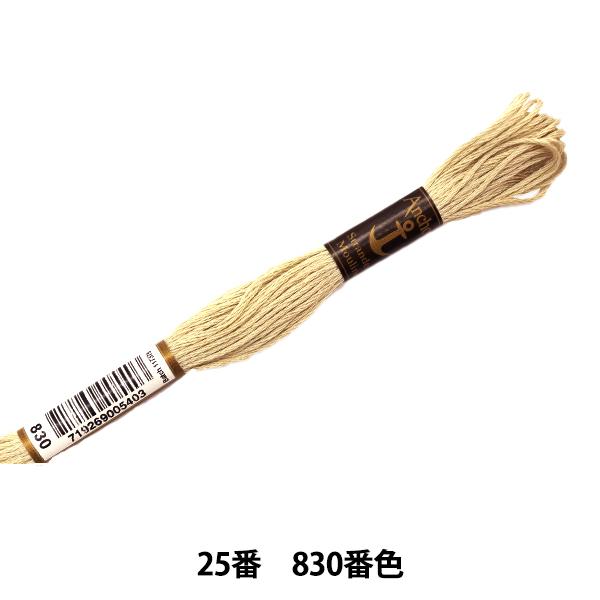 hイ wAnchor(AJ[) 25ԎhJ 830ԐFx