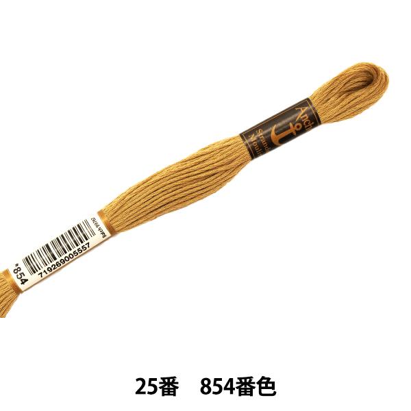 hイ wAnchor(AJ[) 25ԎhJ 854ԐFx