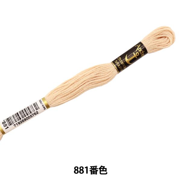 hイ wAnchor(AJ[) 25ԎhJ 881ԐFx