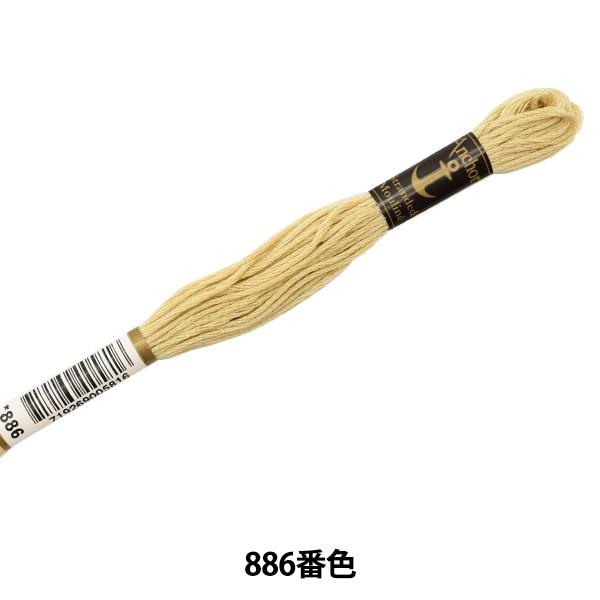 hイ wAnchor(AJ[) 25ԎhJ 886ԐFx