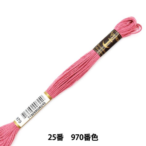 hイ wAnchor(AJ[) 25ԎhJ 970ԐFx