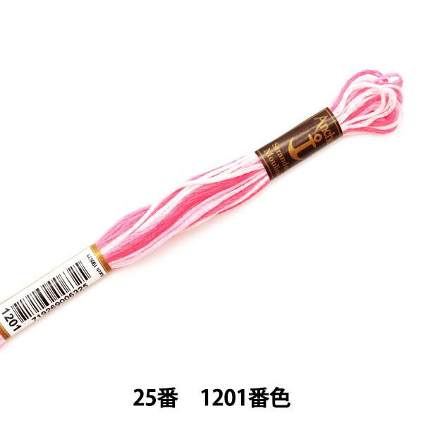 hイ wAnchor(AJ[) 25ԎhJ 1201ԐFx