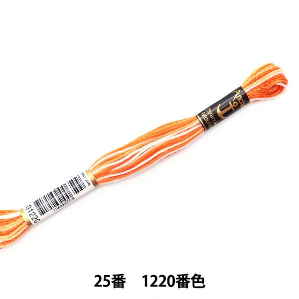 hイ wAnchor(AJ[) 25ԎhJ 1220ԐFx