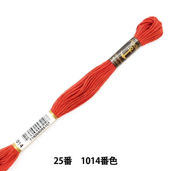 hイ wAnchor(AJ[) 25ԎhJ 1014ԐFx