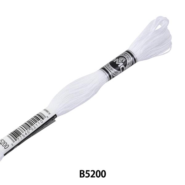 hイ wDMC Au[_[ 16ԎhJ B5200x DMC fB[GV[