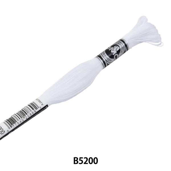 hイ wDMC Au[_[ 30ԎhJ B5200x DMC fB[GV[