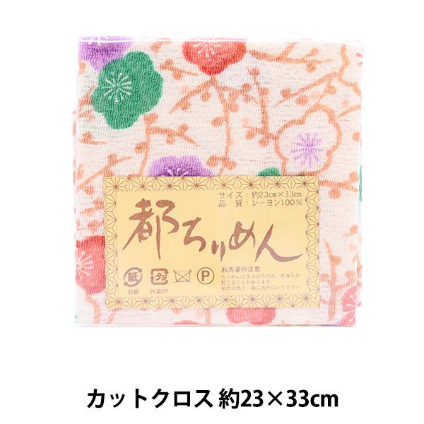 n ws߂ FT JbgNX 23cm×33cm 274ԐFx X