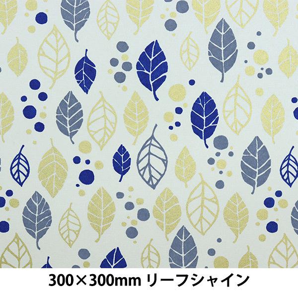 a wkFT No.9 [t VC 1/6TCYx