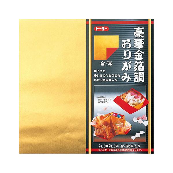 ܂莆 ㎆ w؋肪   24cm 8105x g[[