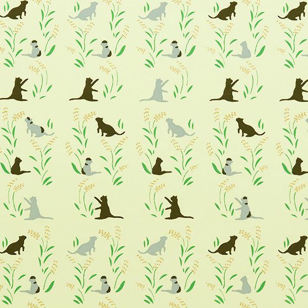 ܂莆 ㎆ wFT l nekoA-2x