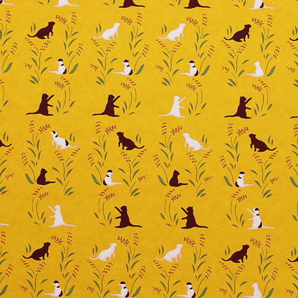 ܂莆 ㎆ wFT l nekoA-3x