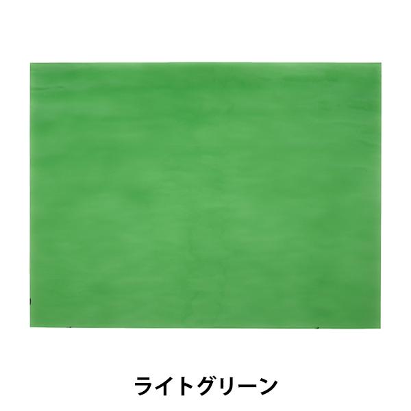 XehOX wXyNg SPF-121Wx