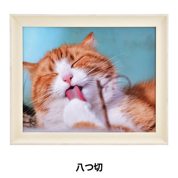 z wfbTz c lR AC{[ 8158x