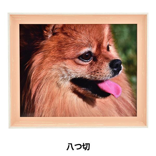 z wfbTz c |jA CgIW 8158x