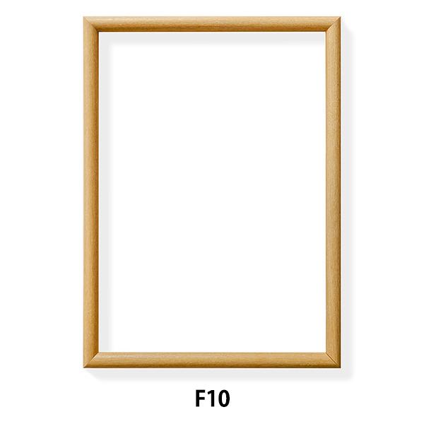 z w ؒn DA-F10x