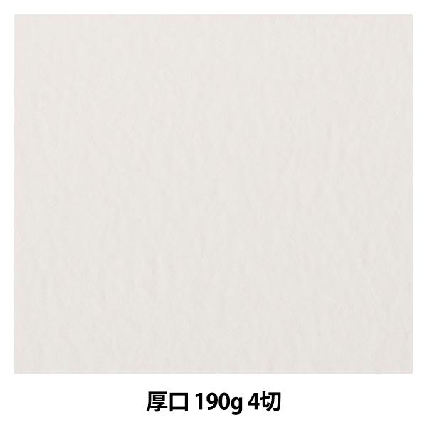 p wg\  190g 4؁x muse ~[Y