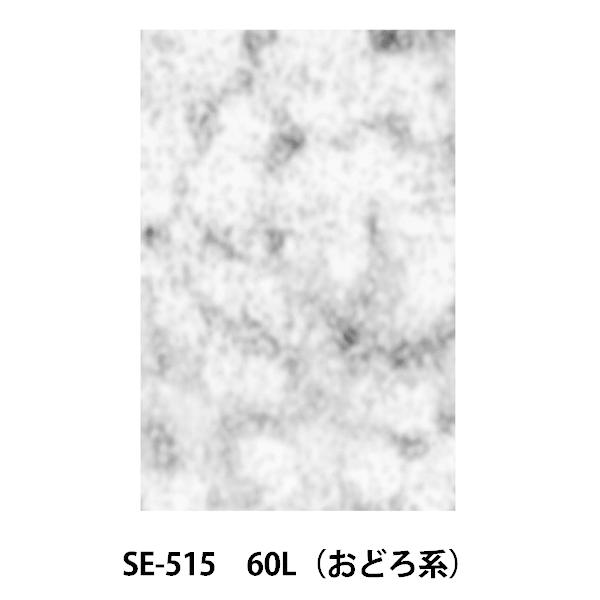  wf[^[XN[ SE-515  60L ǂnx DELETER f[^[