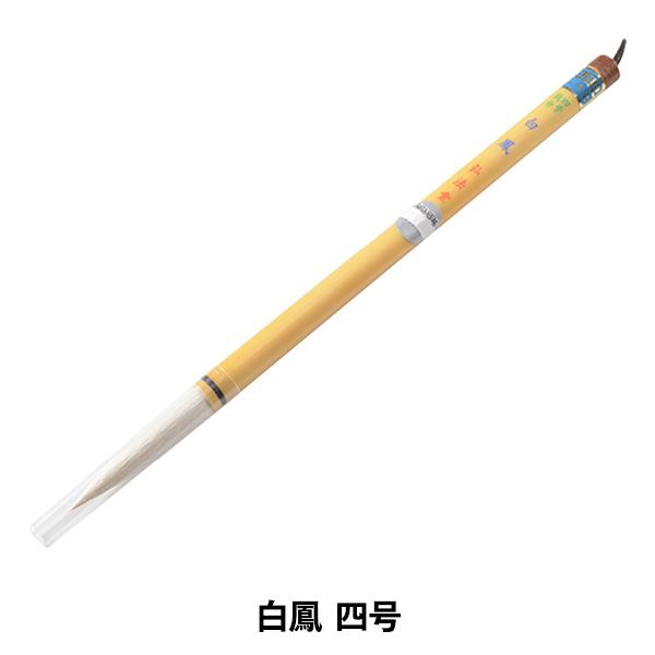 M wP lx