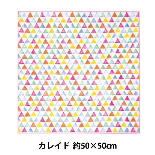 ^I wnunosai (kmTC) NS601 JCh nJ` 50×50cmx