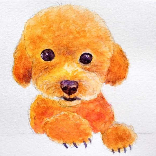 色鉛筆画✭愛猫愛犬✭ペット似顔絵　オーダー受付　ページです♪1 愛犬のオレオ先生描きました(^-^)🐶 かわいくかけてよかった