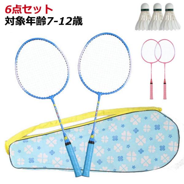 【送料無料】【6点セット】バドミントンセット バドミントン セット ミニバドミントンセット 6点 対象年齢7-12歳 バドミントンラケット キッズ こ
