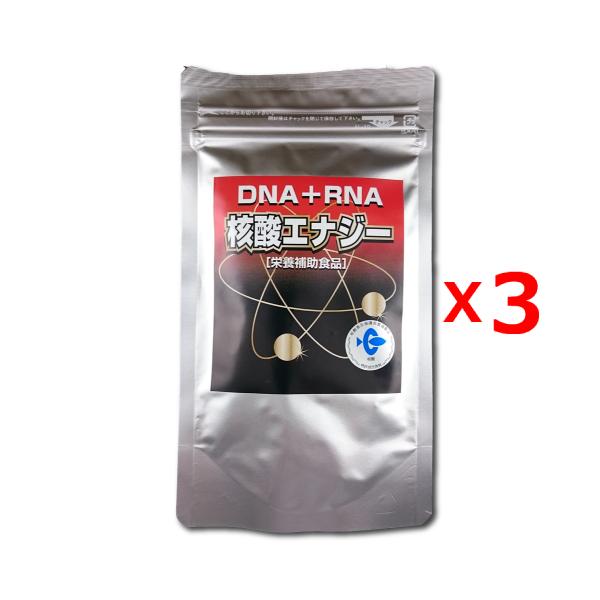 送料無料 3個セット 核酸エナジー お得用アルミパック 300粒 DNA RNA 