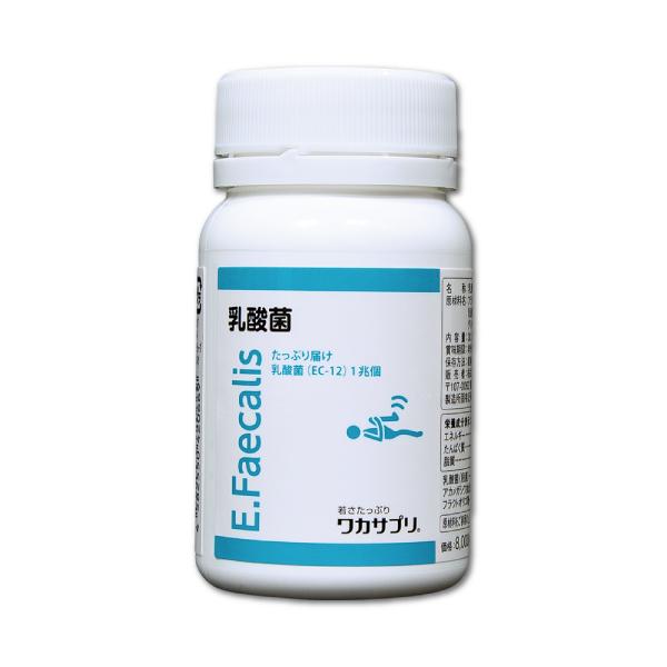 ワカサプリ　乳酸菌（EC-12)　90粒　フェカリス菌