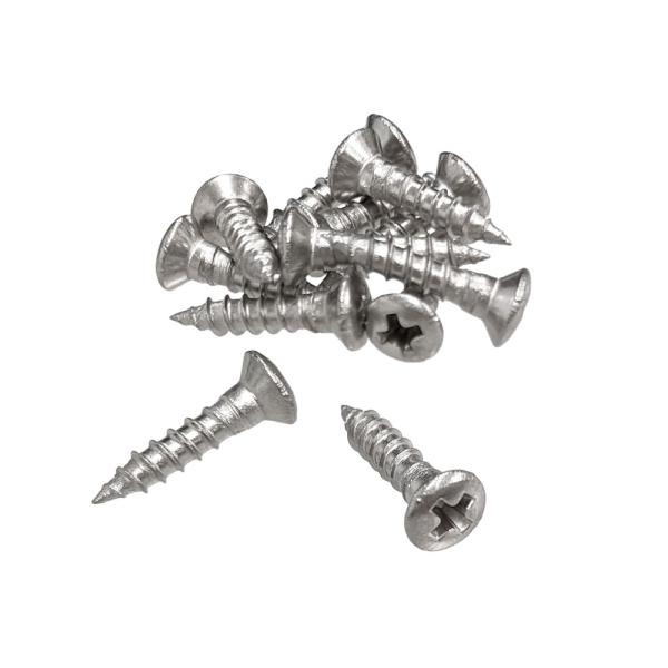 直径2.7mmの首下がねじ切りされていない木ネジタイプのピックガード・プレート/裏パネル用ビス。加工精度の高い国内生産品です。ネジ頭形状：丸皿サイズ：2.7X13(mm)入り数：12本ステンレス(メッキなし)