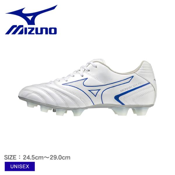 z-sports_16663011