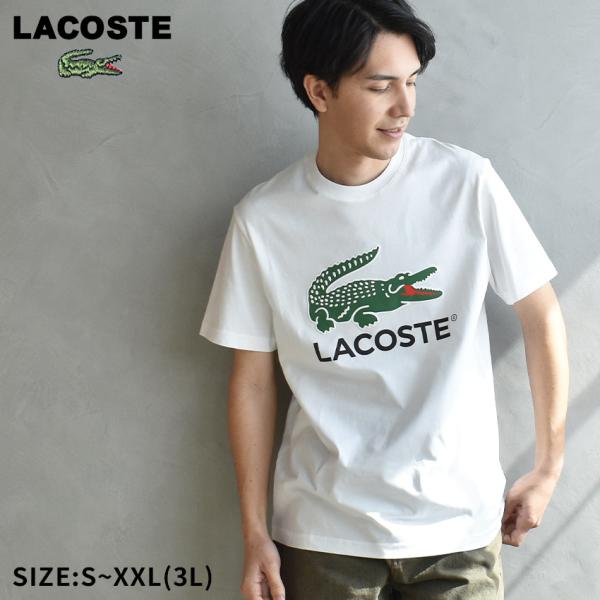 新品 5ラコステ LACOSTE メンズ 半袖 Tシャツ L z-sports_22201592