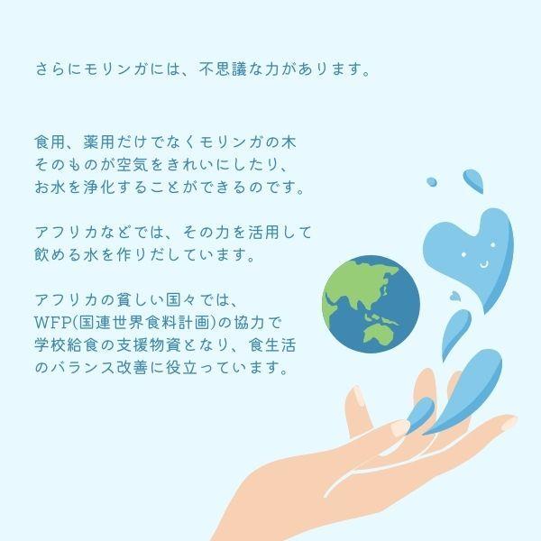 宮崎モリンガ 無添加 無農薬モリンガ茶 国産 宮崎県産 ティーパック31包 2 038 ざっくばらん 通販 Yahoo ショッピング